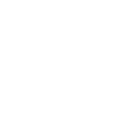 Corporate Board Memberships